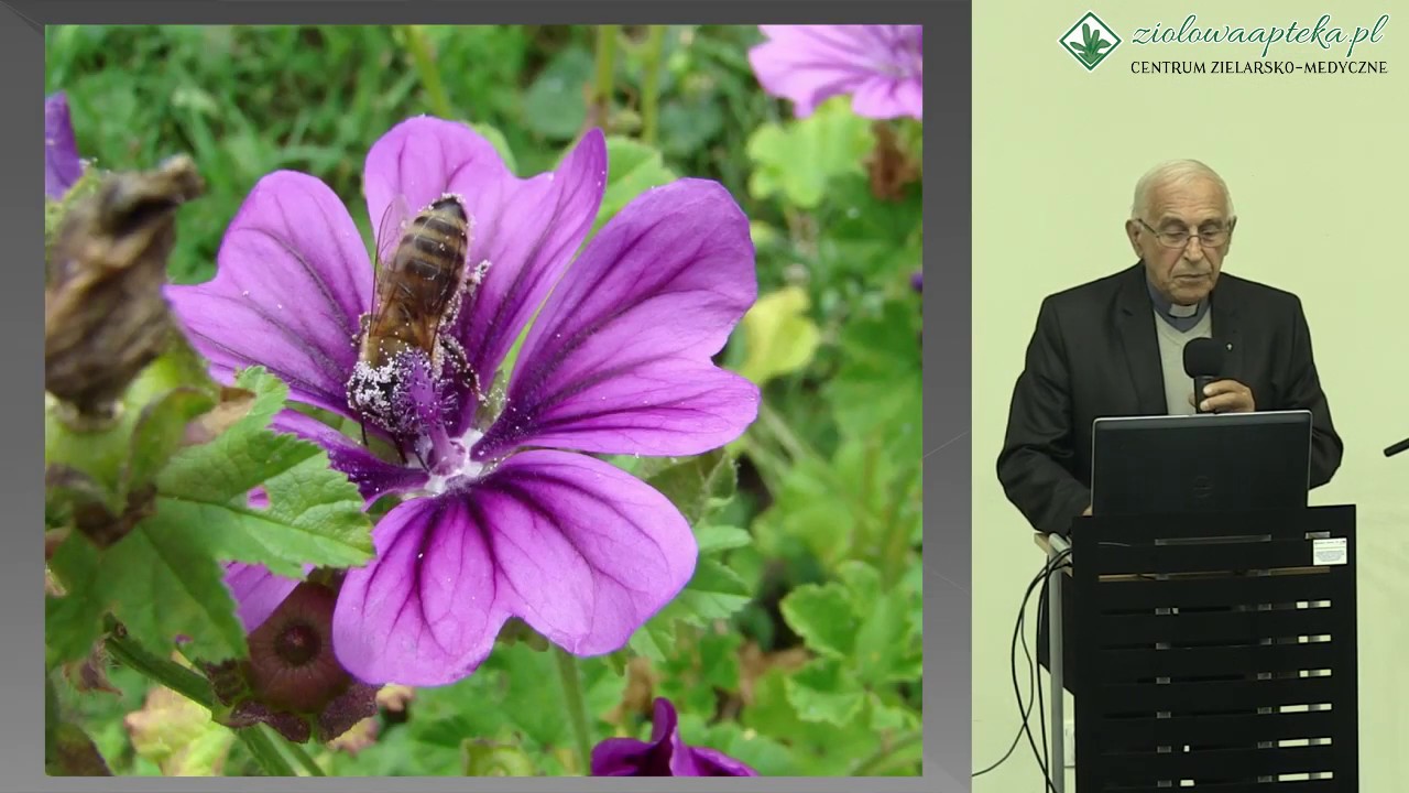 Propolis - antybiotyk XXI wieku. Ks. Eugeniusz Marciniak 27.10.2018