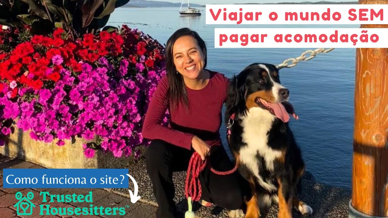 Como funciona o Trusted Housesitters? Como criar um perfil?
