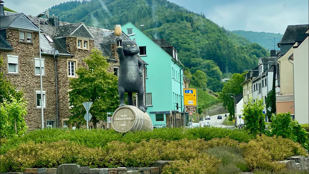 Wine tour in Mosel 🍇#travel#wine#germany#mosel 
