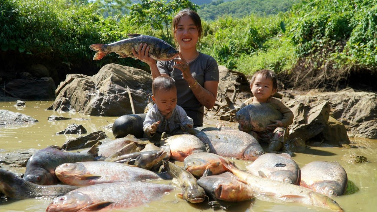 A single mother and her child caught a huge school of fish to take to the market to sell