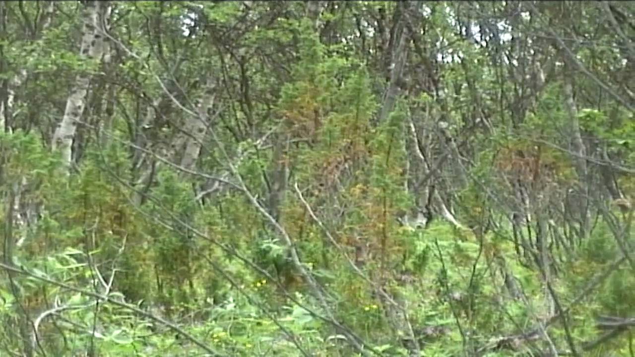 Olderfjord og naturopplevelser