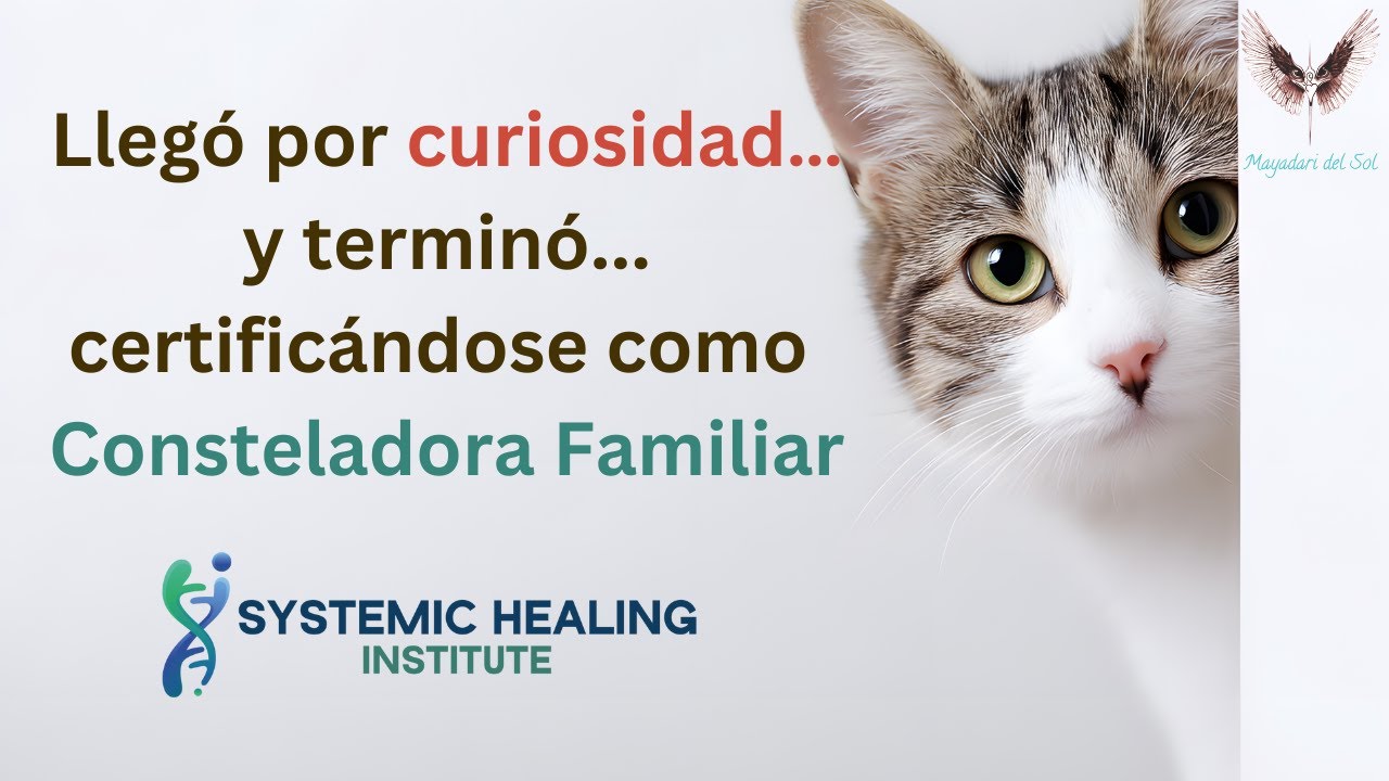 👉 Llegó por curiosidad… y terminó certificándose como Consteladora Familiar | Testimonio Johanna