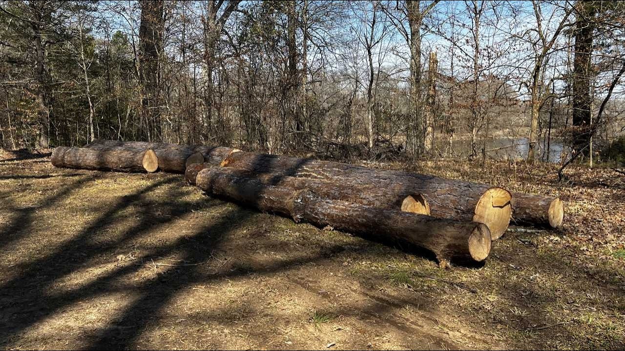 Logging with an IH 784