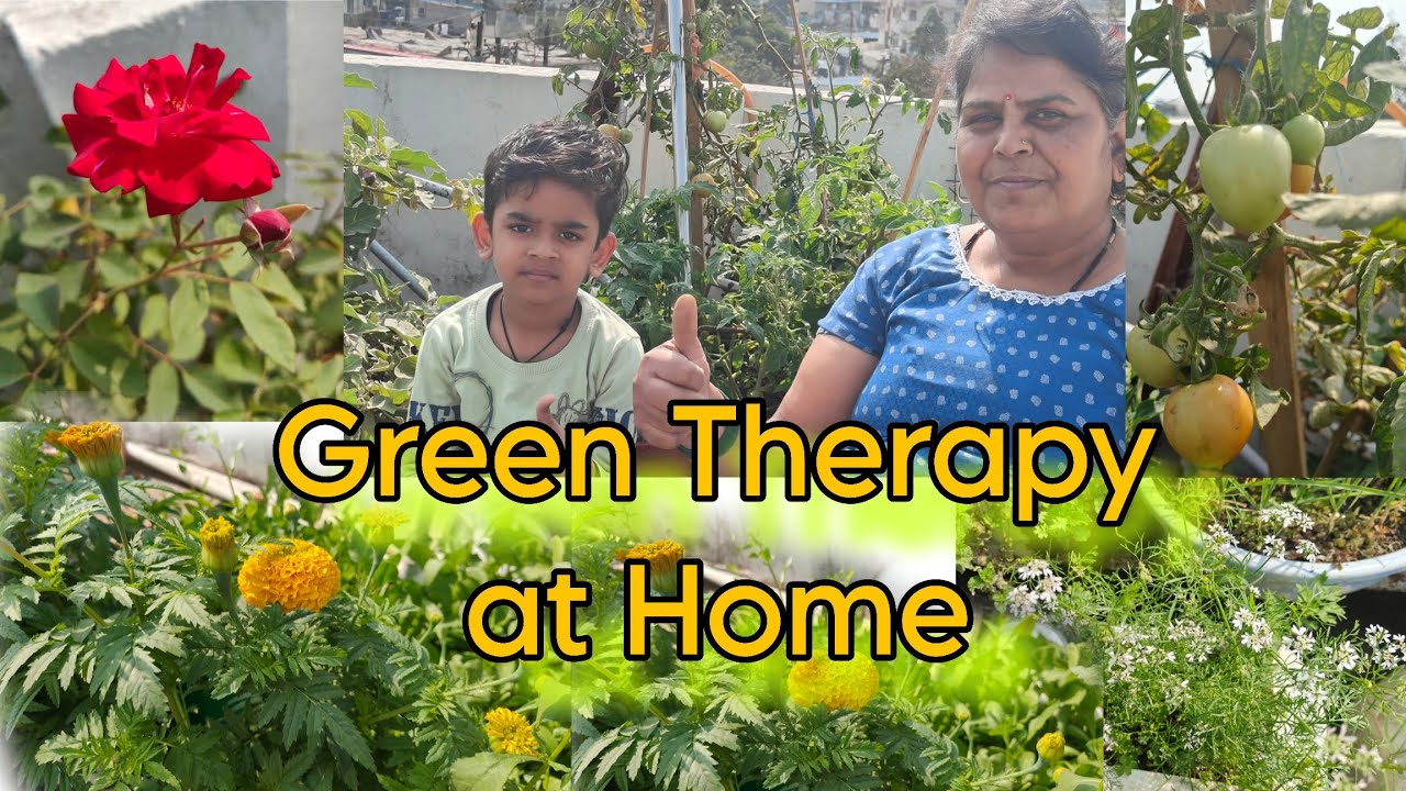 Apna Kitchen Garden 🌿 || Fresh Organic Sabziyaan Ghar Par 🥬||Terrace Garden Vlog 🌼  