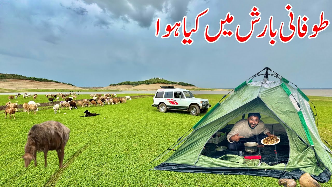 Camping And Cooking in Heavy Rain ☔️ on Mangla Dam 😳