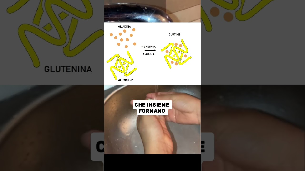 Cos&rsquo;&egrave; il glutine? 🥖