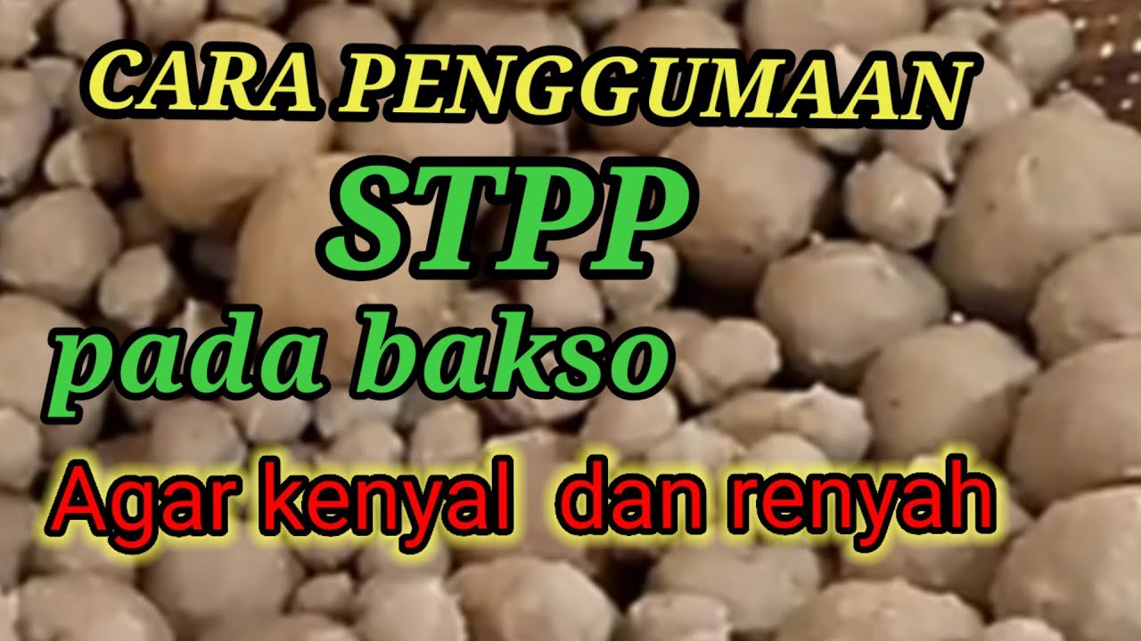 TUTORIAL CARA PENGGUNAAN PENGENYAL STPP PADA BAKSO ‼️penjual bakso