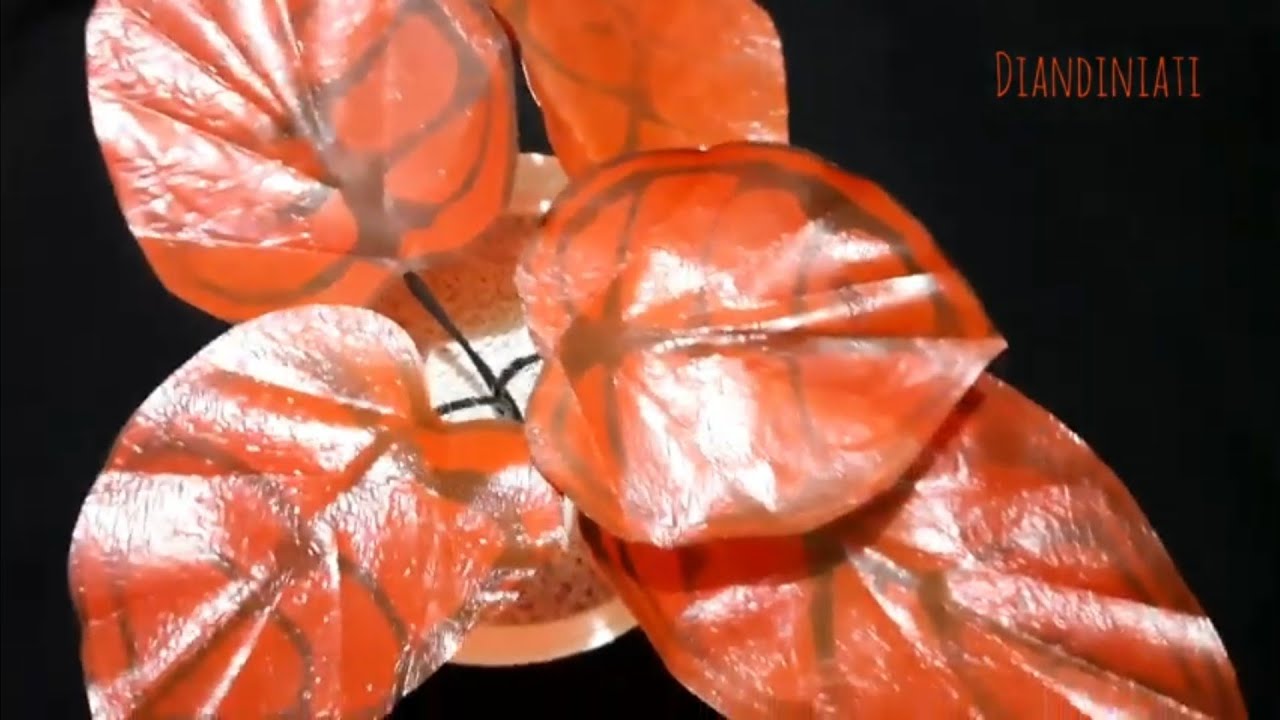 cara membuat keladi merah (caladium red thai) dari kresek|| red thai caladium tutorial from plastic
