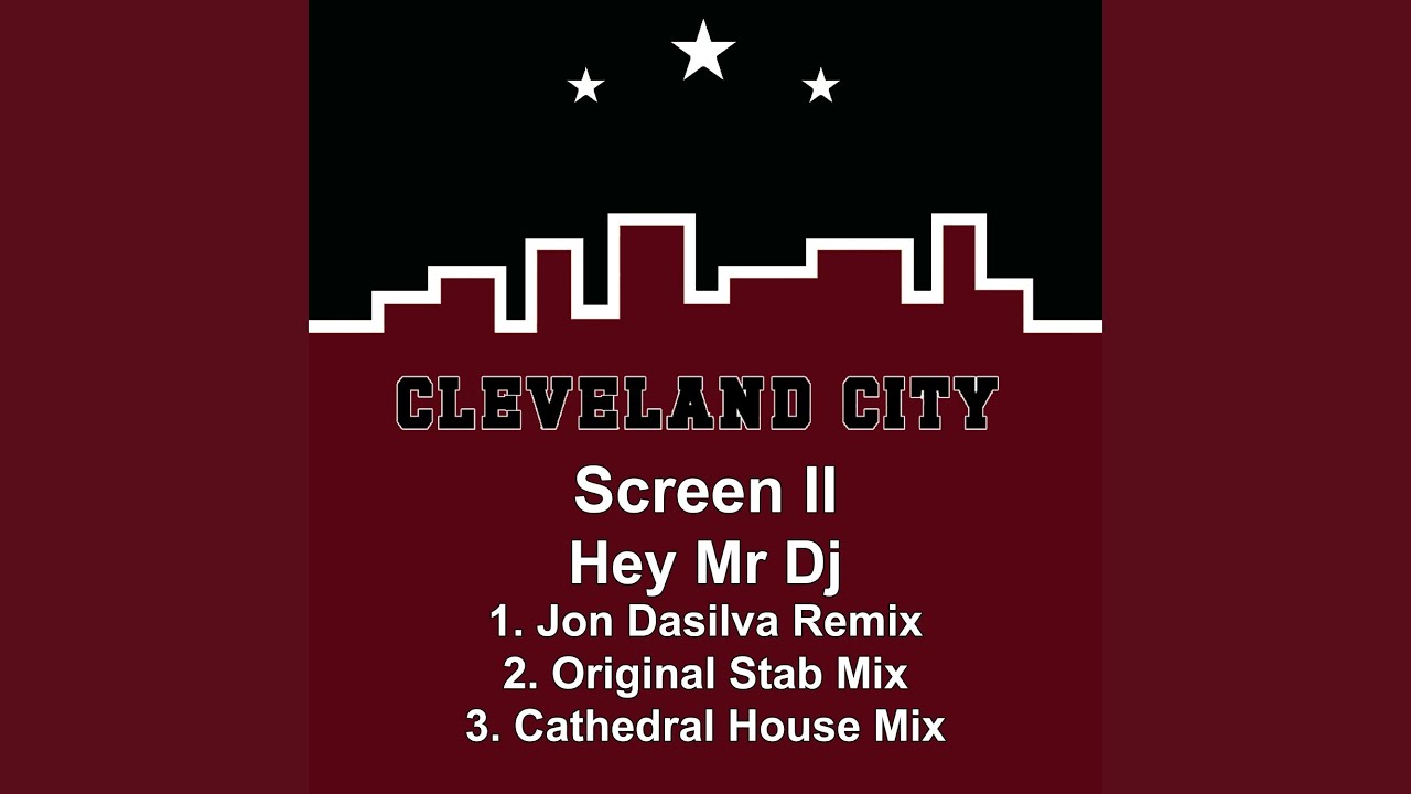 Hey Mr DJ (Stab Mix)