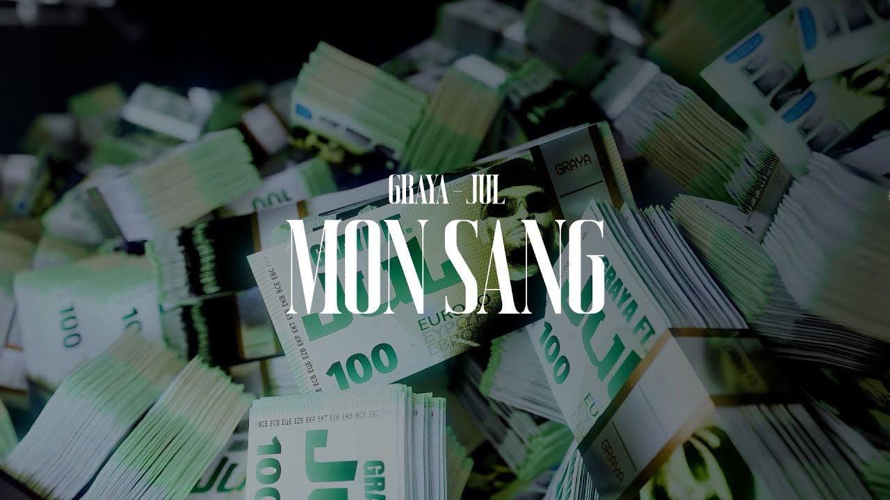 Graya (ft. Jul) - Mon sang (Visualizer)