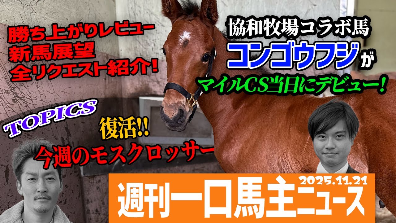 【週刊一口馬主ニュース】生後3日から取材した協和牧場コラボ馬コンゴウフジのデビュー戦が見逃せない！リクエストいただいたものは全馬紹介しています！！【節約大全】Vol.1427