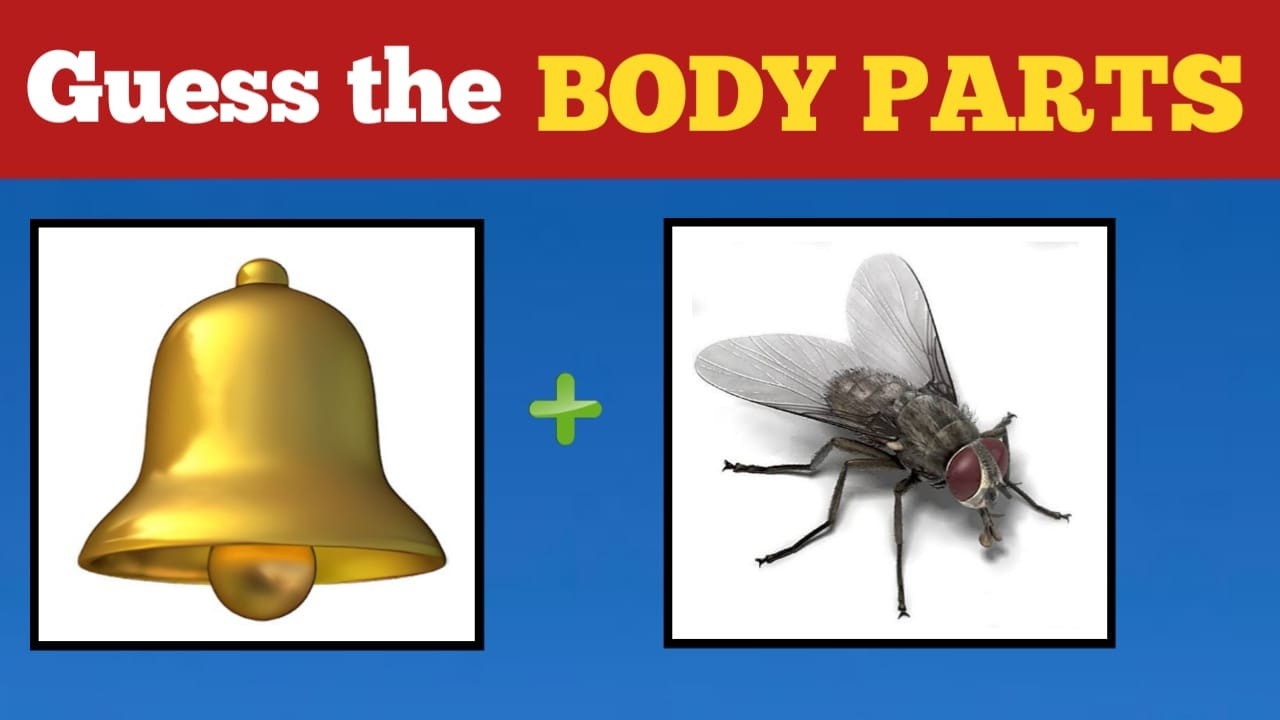 Can you guess the Body parts | Riddle Game |Puzzle game |Connection |Bioscope | Game challenge