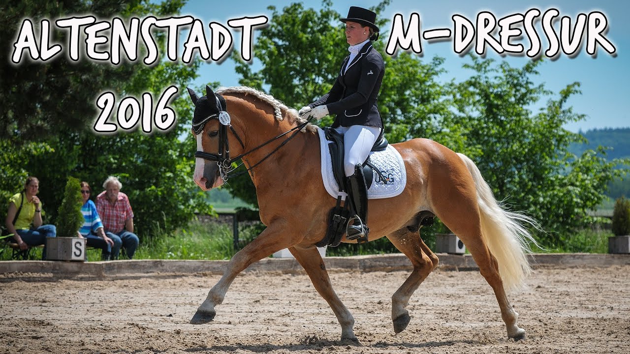 [Turnier] Dressurhaflinger Amani | Sieg | M-Dressur Haflingerturnier Altenstadt 2016