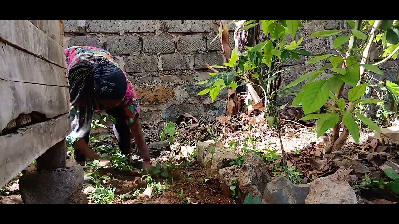 Strength  of a woman......This is how I spent my day!#gardening!#documentary #organic farming