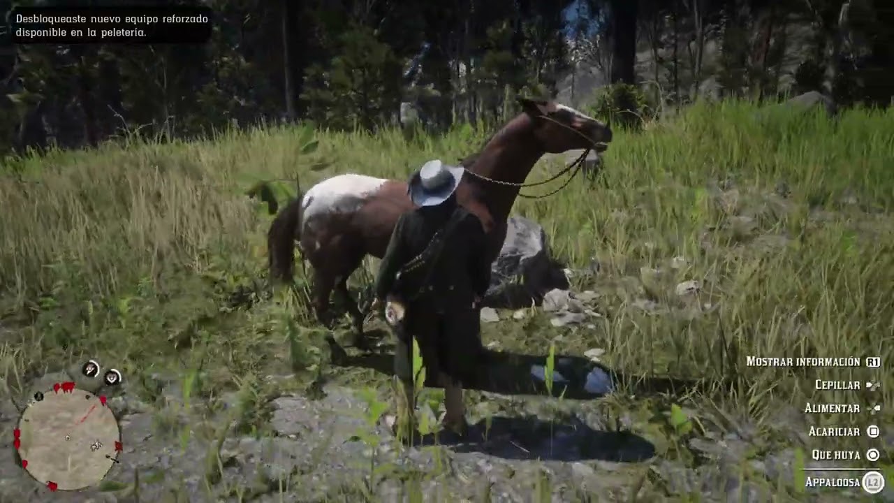 Red Dead Redemption 2. Desafío jinete 10 completado