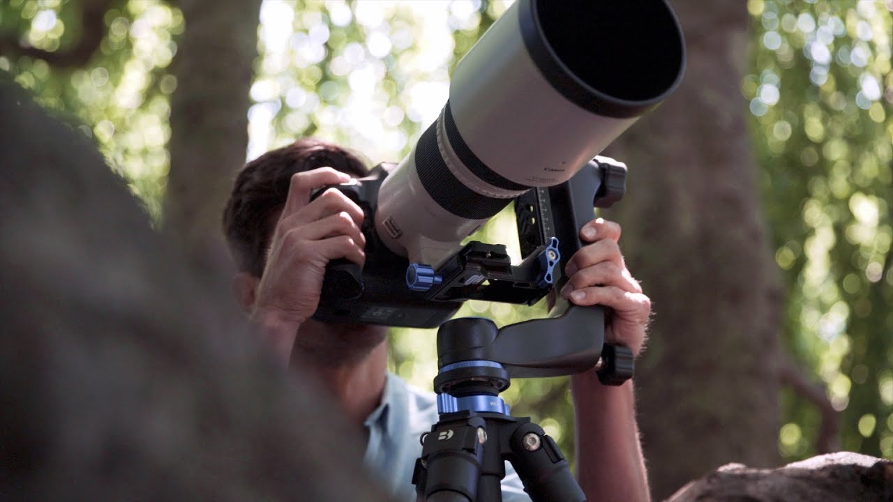 Benro GH5C Gimbal Head