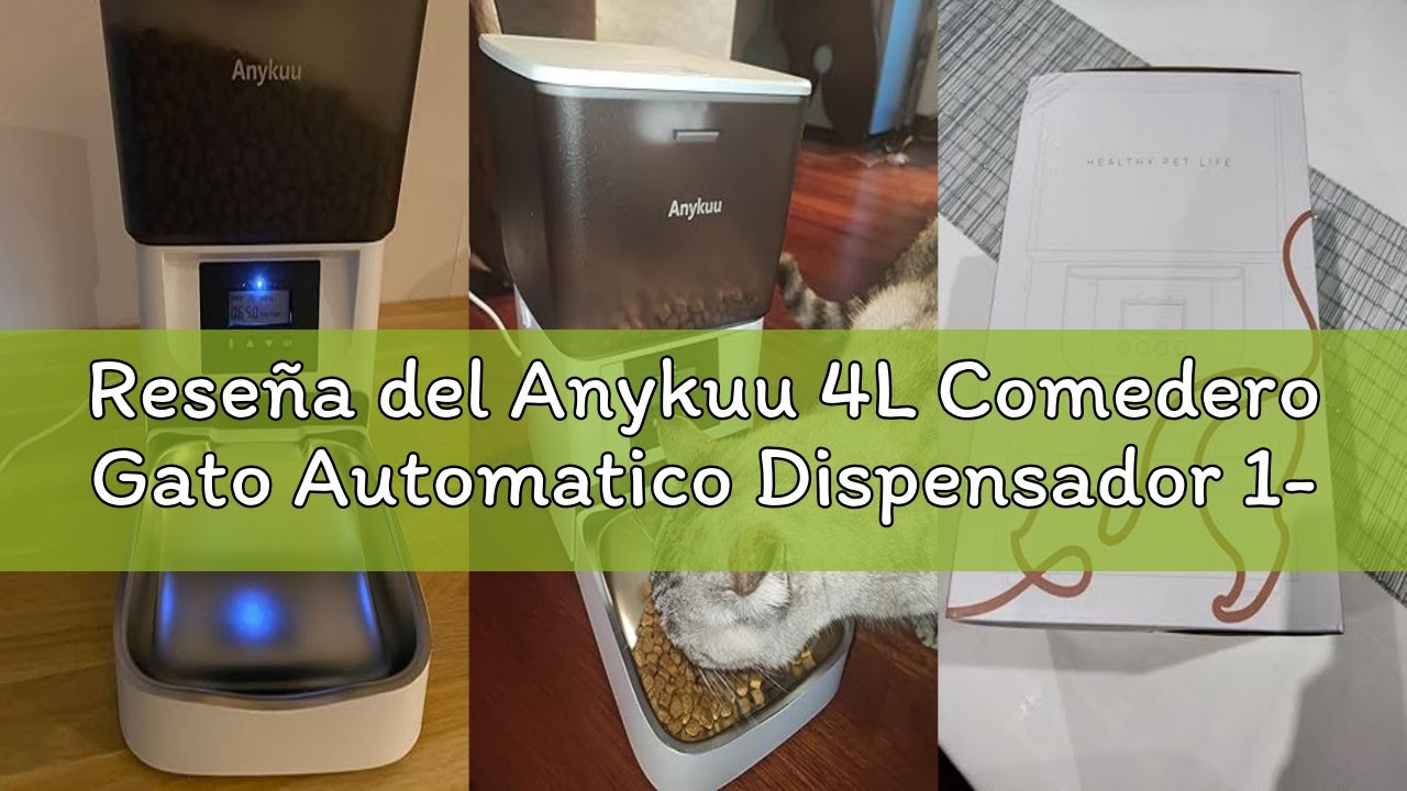 Reseña del Anykuu 4L Comedero Gato Automatico Dispensador 1-6 Comidas al DíaComida Gatos y Perros co