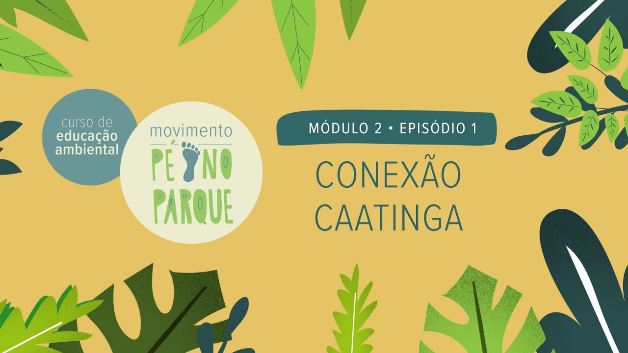 Curso de Educação Ambiental Pé no Parque - Módulo 2 x Episódio 1: Conexão Caatinga