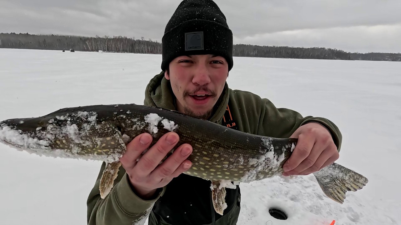 AGRESSIVE PIKE! Ice Fishing in NEGATIVE Temps!
