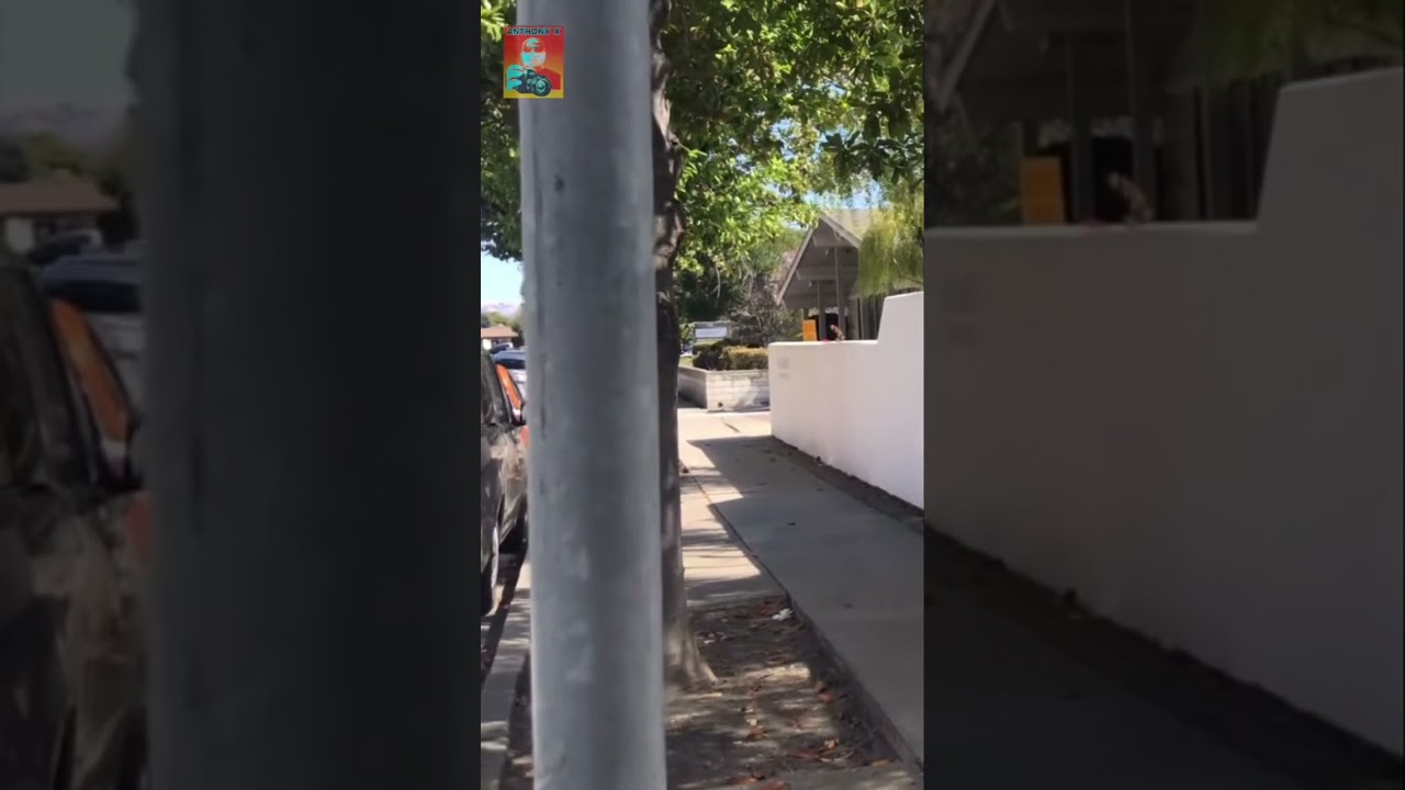 Observing Life: Waves, Cars, and Sneaky Interactions