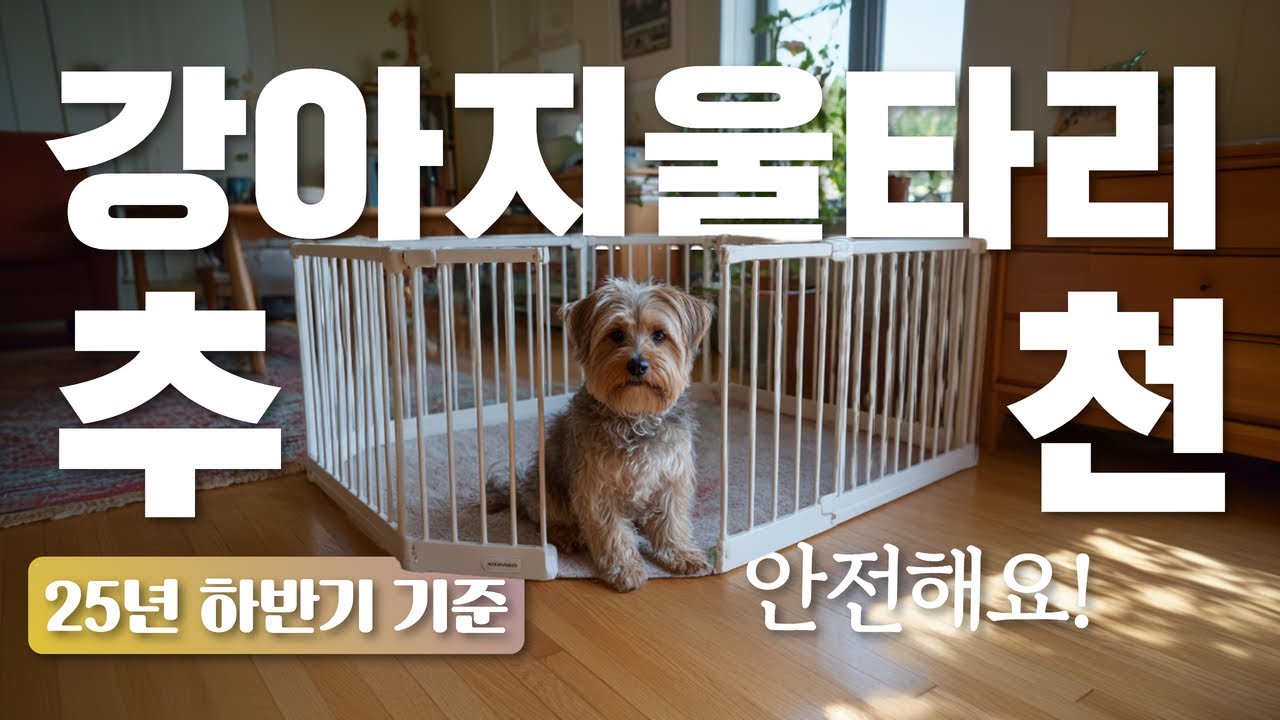 강아지울타리 추천 2025 Best 5!  [가성비부터 야외용까지!]