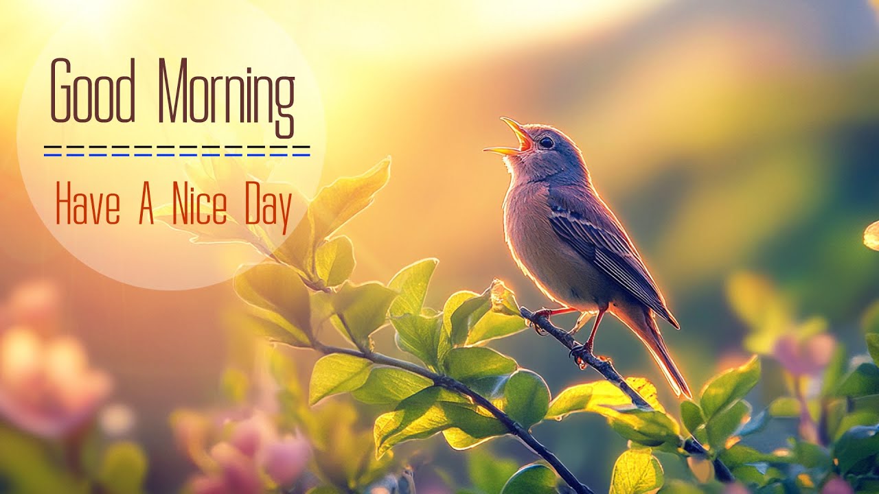 POWERFUL MORNING MUSIC - Wake Up Happy and Full of Positive Energy - Soft Morning Meditation Music