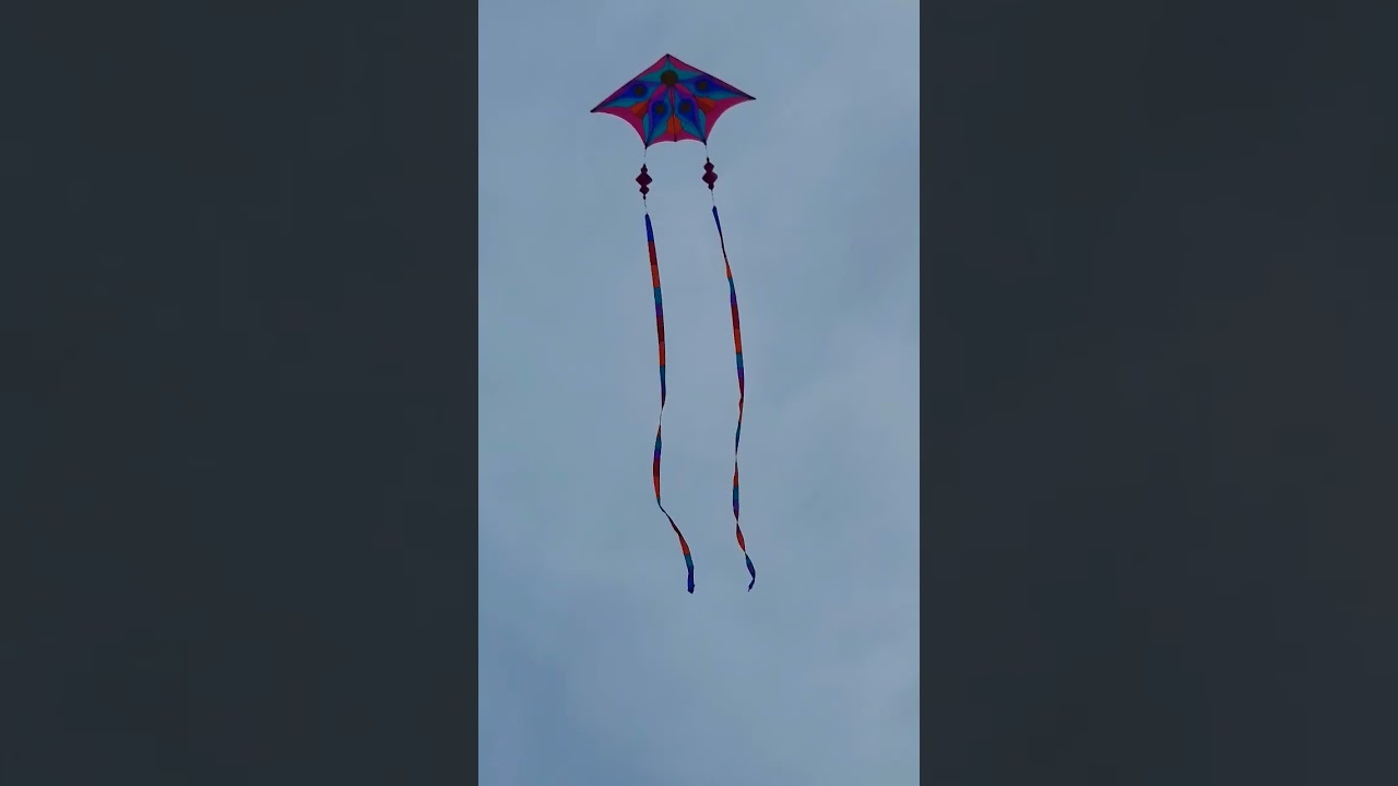 The Spinning Tail Kite #shorts #2022 #travel