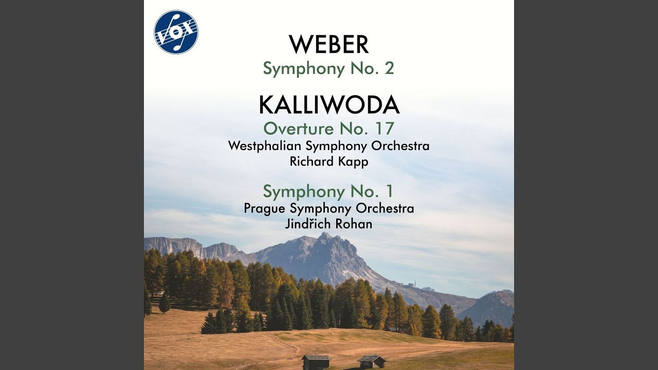 Symphony No. 1 in F Minor, Op. 7: II. Adagio non troppo