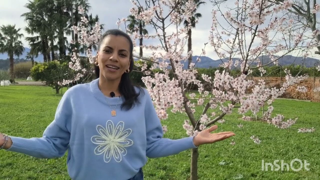 MI PRIMER VIDEO DE YOUTUBE! Una cubana desde el campo español.