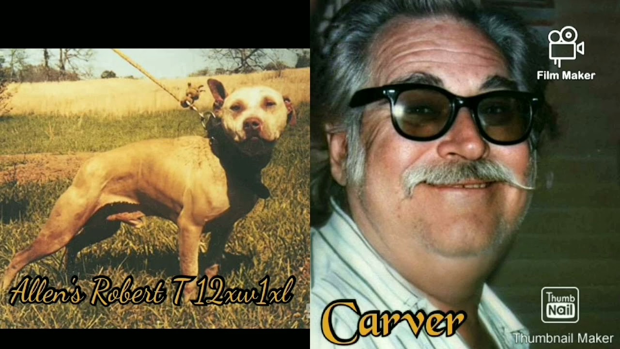 The Lightener Family Gamedog History Part 6