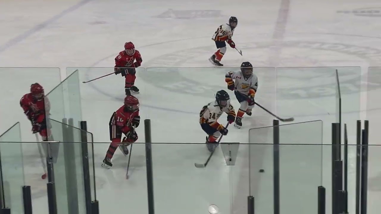 Playoffs, GAME1: TNT U10AA Tornados vs Newmarket Renegades Minor Hockey, February 21, 2026