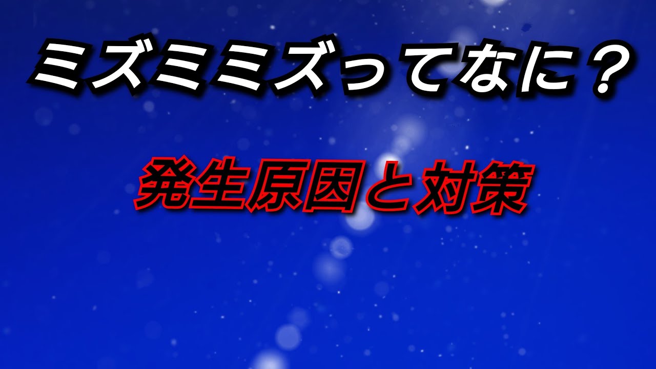 閲覧注意‼️大量発生‼️ミズミミズ‼️