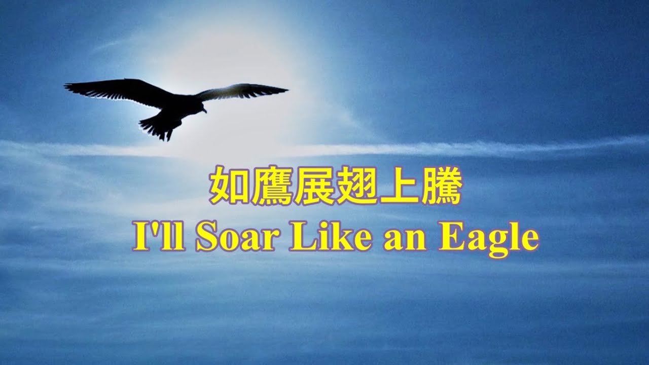 如鷹展翅上騰 / 小提琴獨奏 / I'll Soar Like an Eagle / Violin Cover by Shang Quan