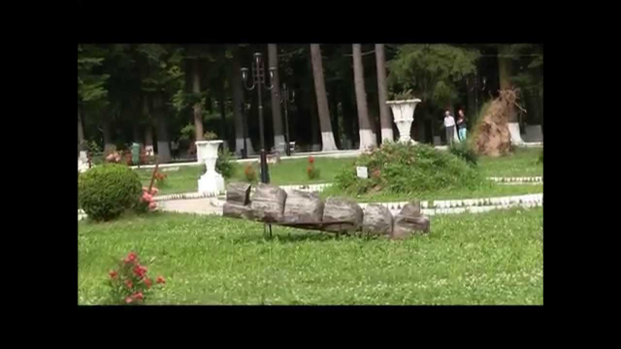 Slanic Moldova