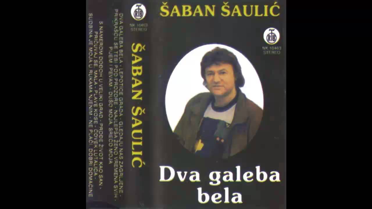 Saban Saulic - Covek lutalica - (Audio 1979) HD