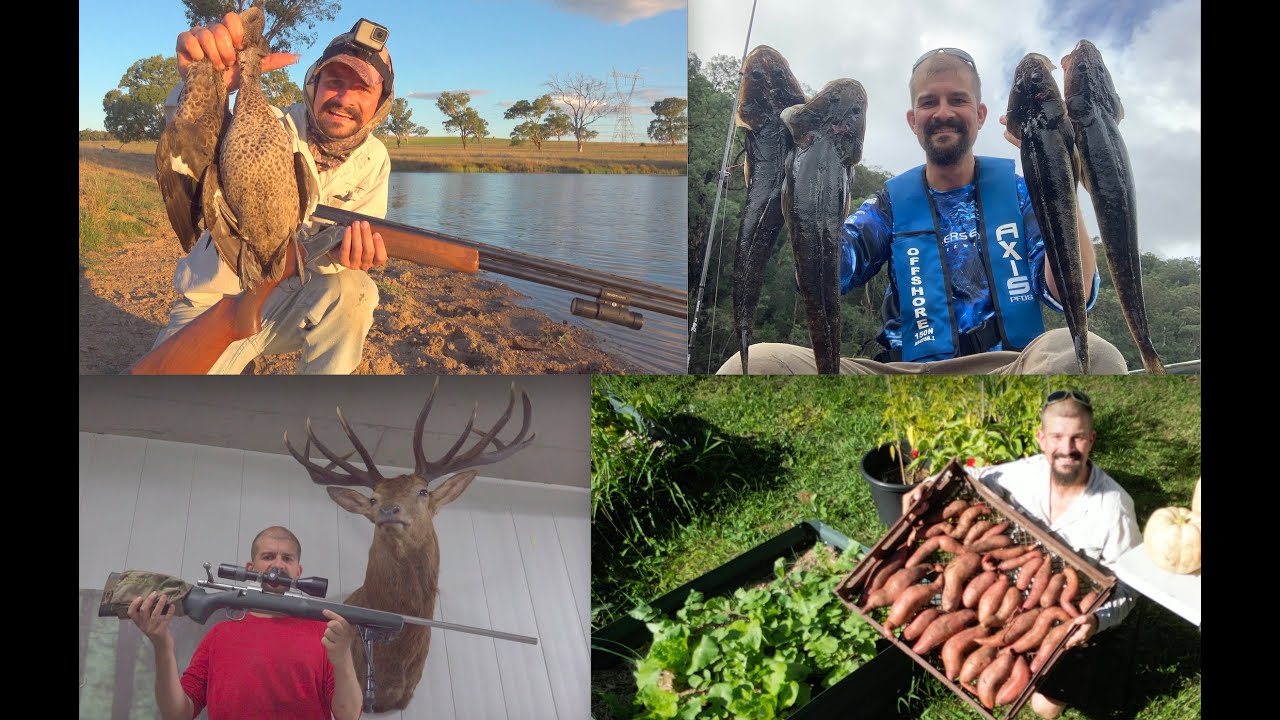 A Hunter's Lifestyle || Duck Shoot, Rifle Specs, Fishing, Sweet Potato, Food Self Sufficiency