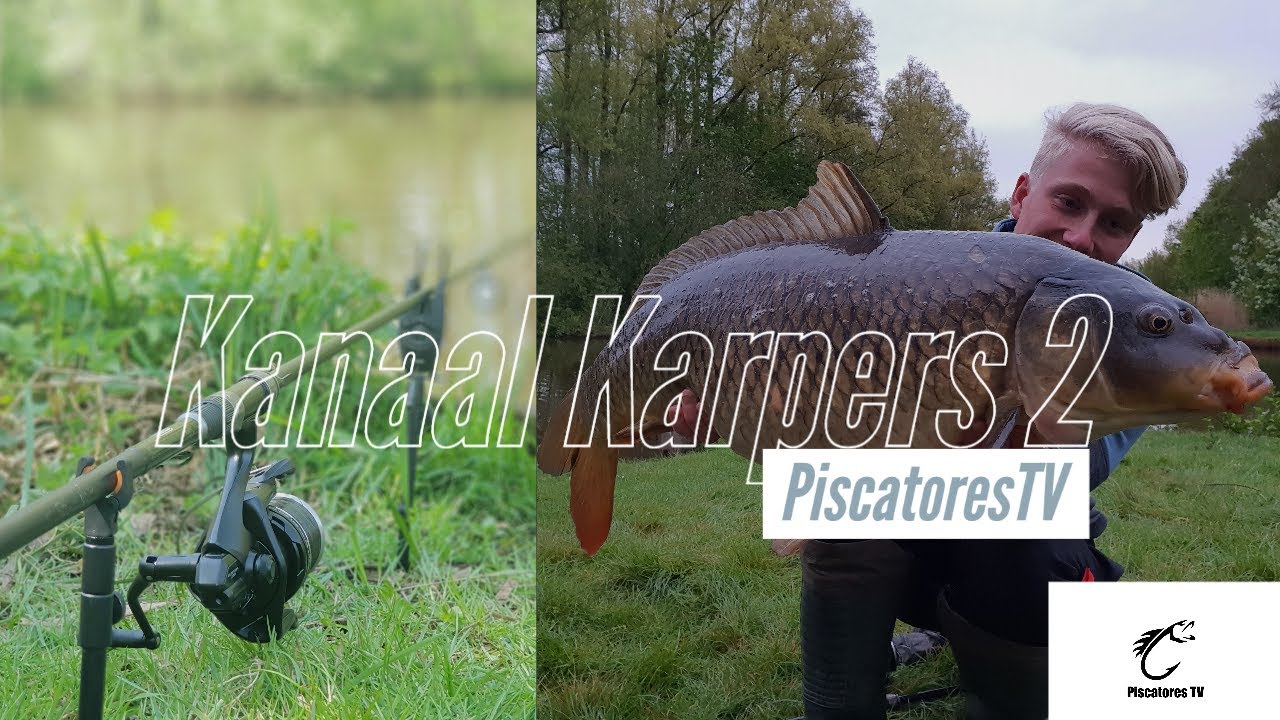 Piscatores TV - Karpervissen in Groningen! (Pt. 2)