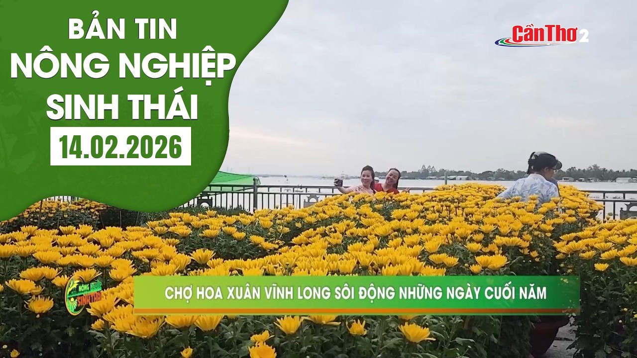 Chợ hoa xuân Vĩnh Long sôi động những ngày cuối năm | NNST 14.02.2026