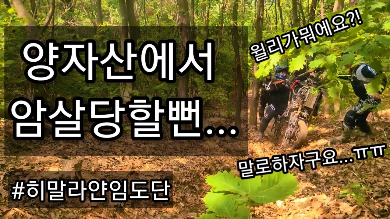 히말라얀으로 양자산 역방향을 정복해보자/히말라얀임도단소풍 #로얄엔필드 #히말라얀 #히말라얀임도단 #산뽕
