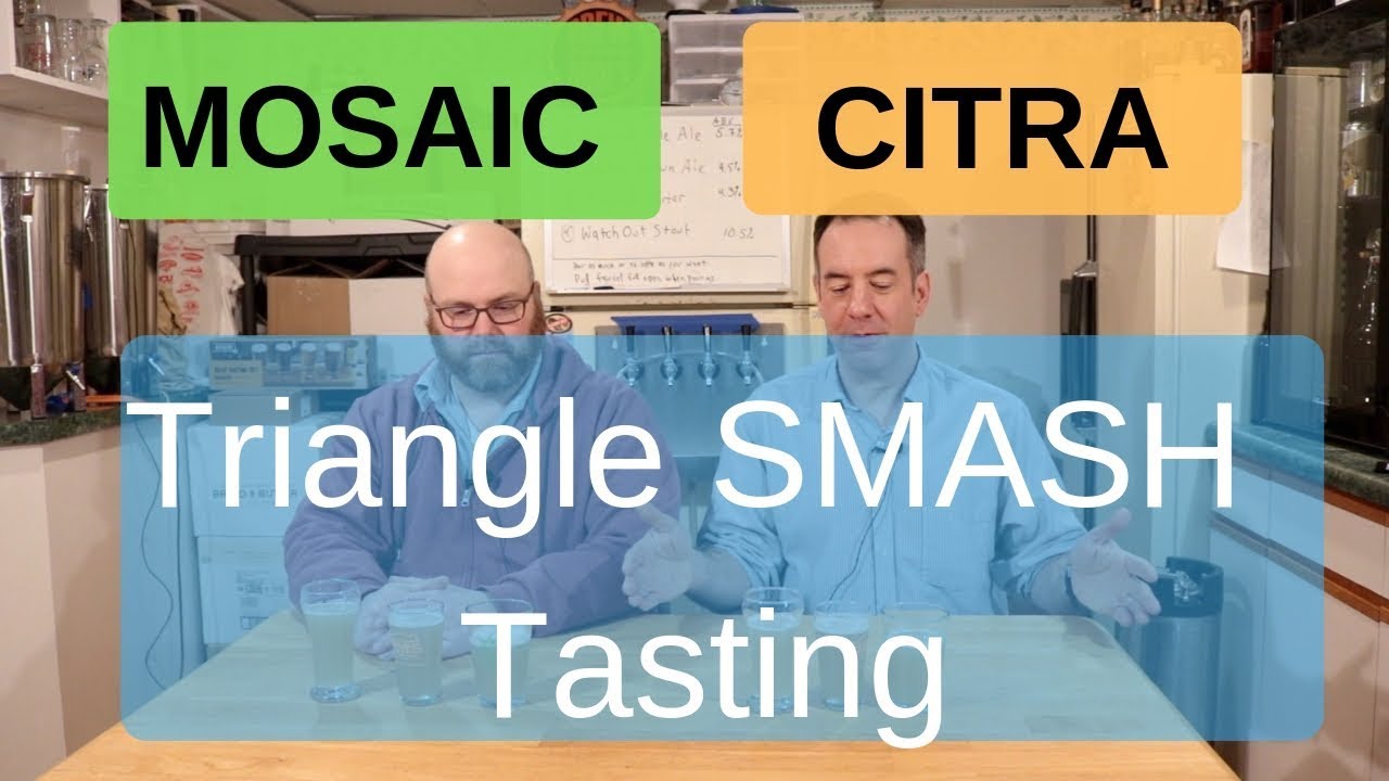 Citra Hops vs. Mosiac Hops - SMaSH Beer Triangle Taste Test