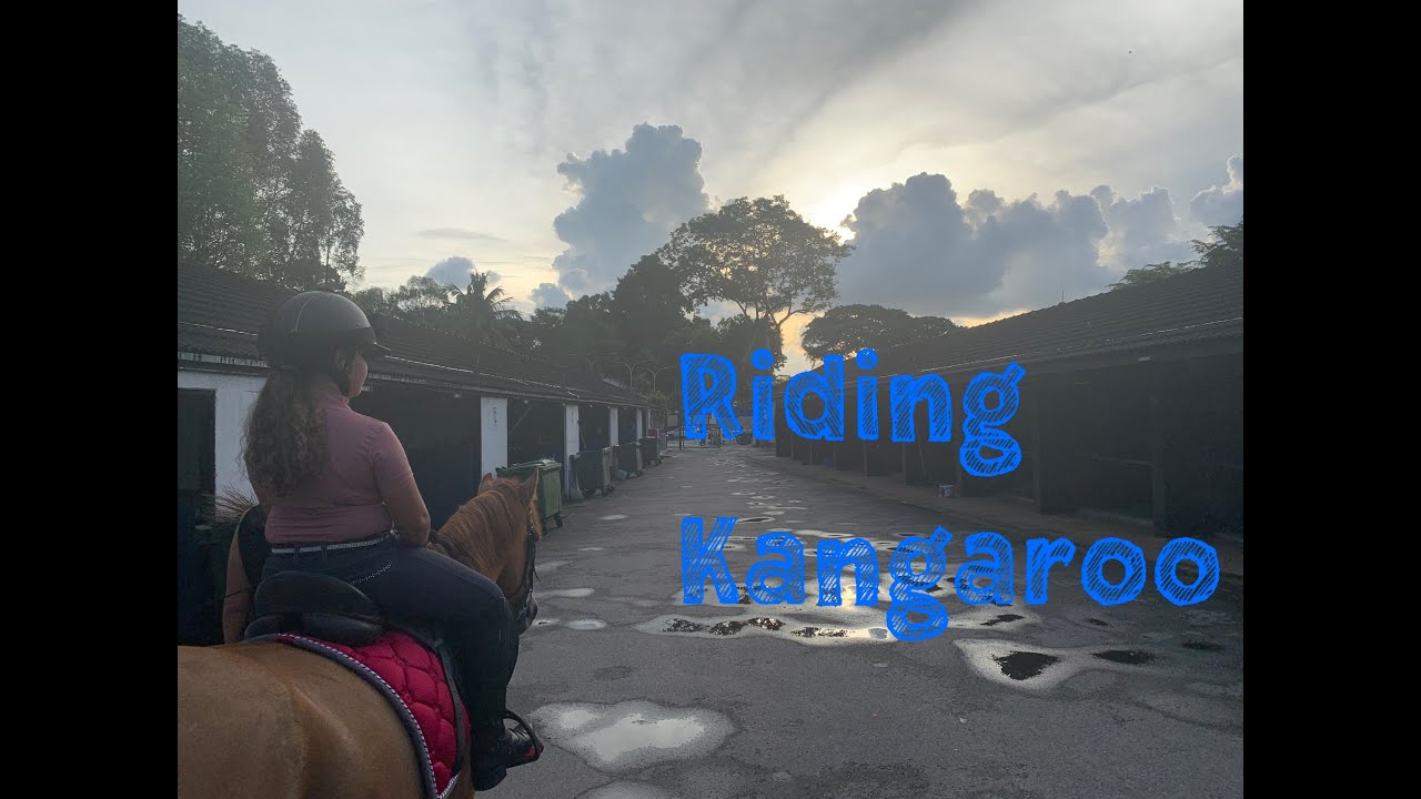 Riding Kangaroo