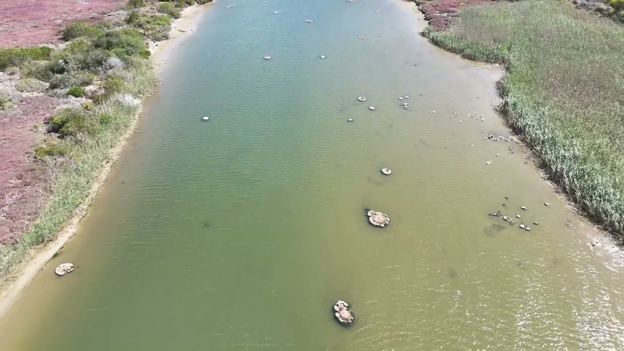 Hartenbos River 08 Oct 2025