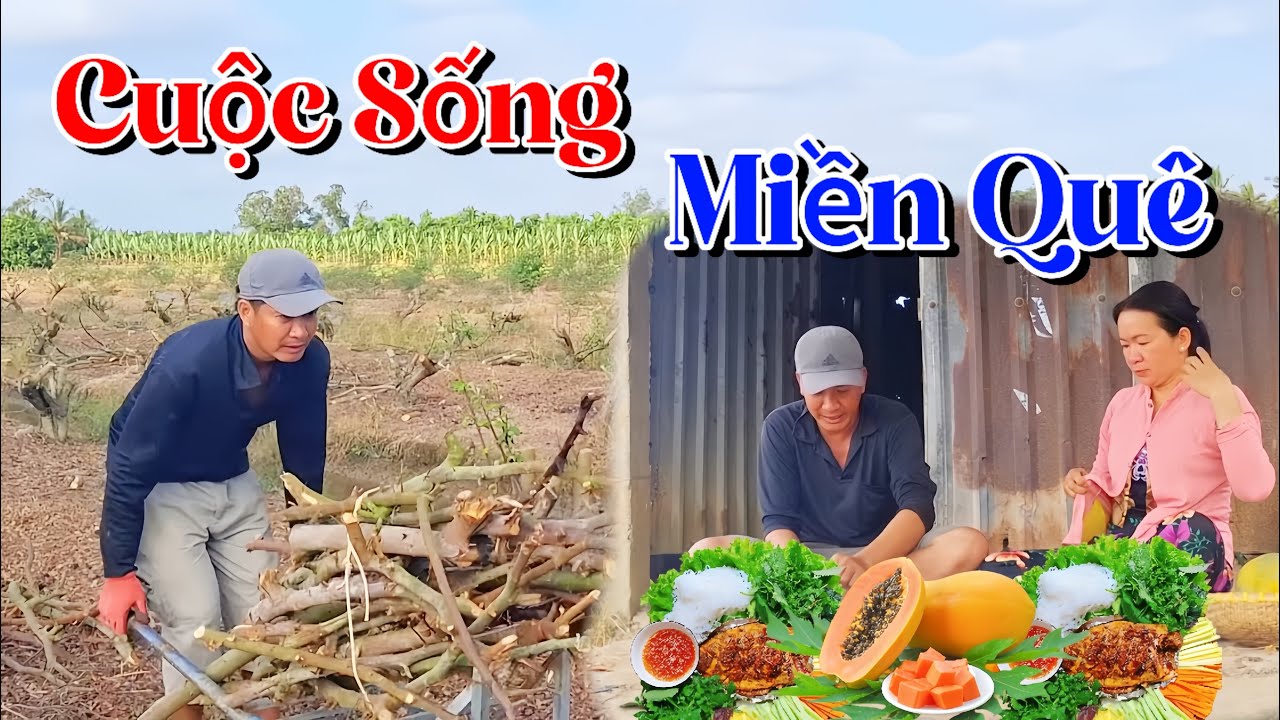 Ra Đồng Gom Củi Táo Út Cường Tranh Thủ Giăng Tay Lưới Được Bữa Ăn Quá Xuất Sắc Với View “ Triệu Đô”