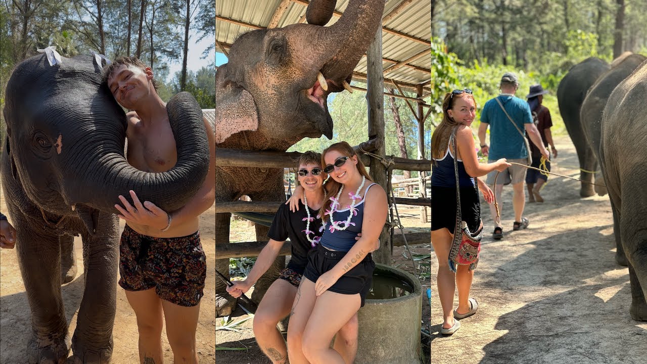 Elephant bathing in THAILAND