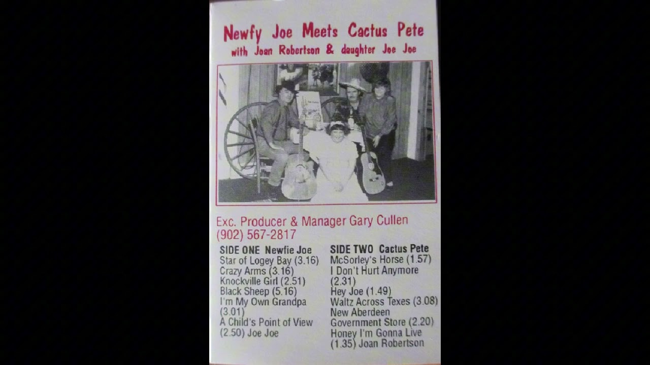 Newfy Joe - Star O Logy Bay (1991)