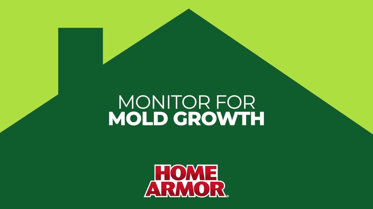 How to Use Home Armor DIY Mold Test Kit