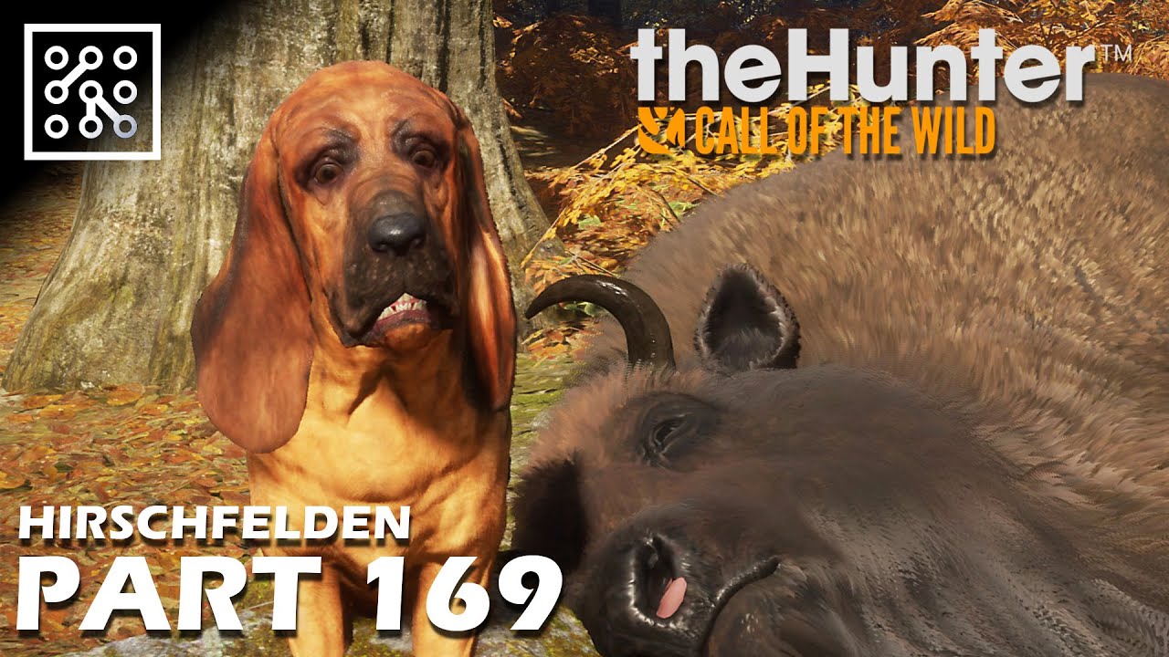 The Hunter: Call of the wild CZ | ASTA na lovu bizonů - #169 | Česky