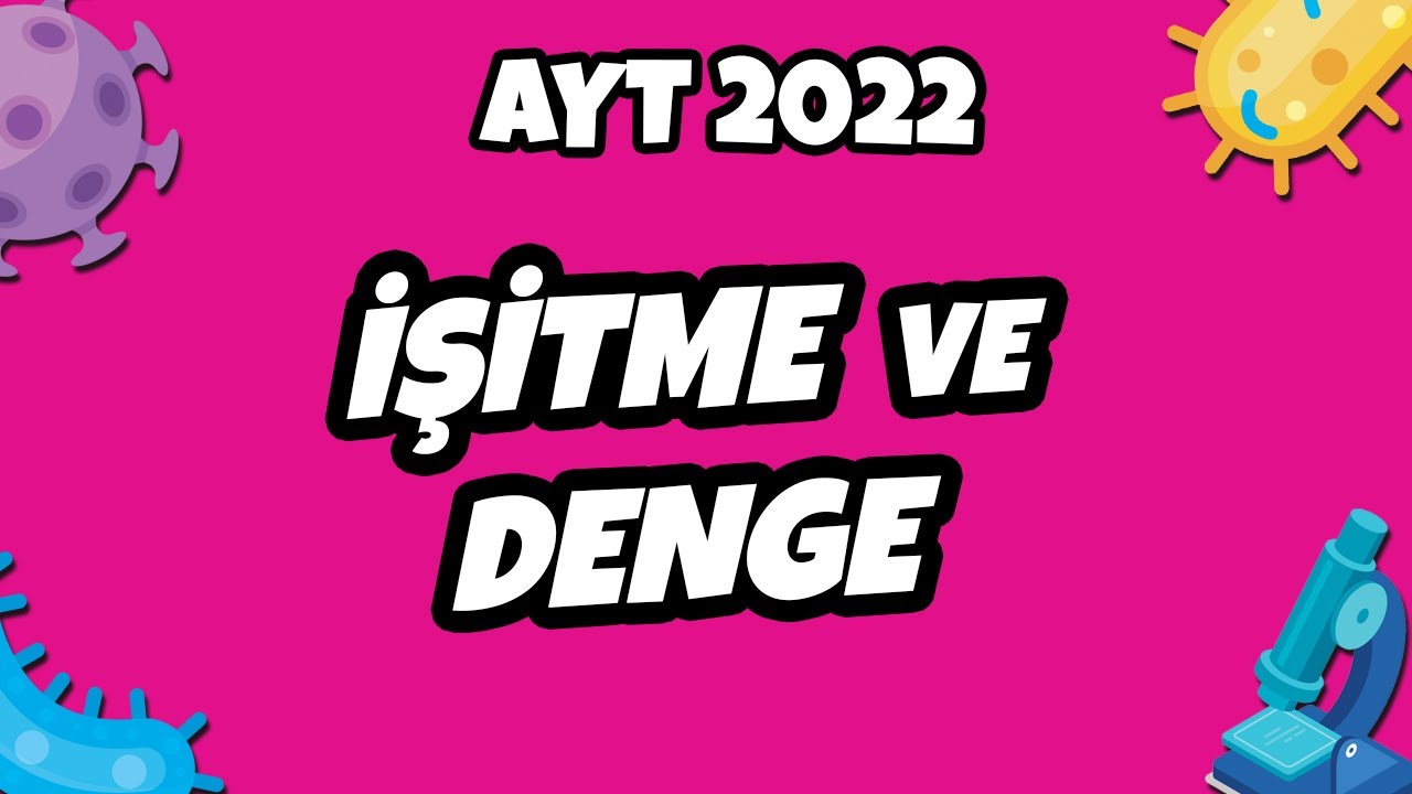 İşitme ve Denge | AYT Biyoloji 2022 #hedefekoş