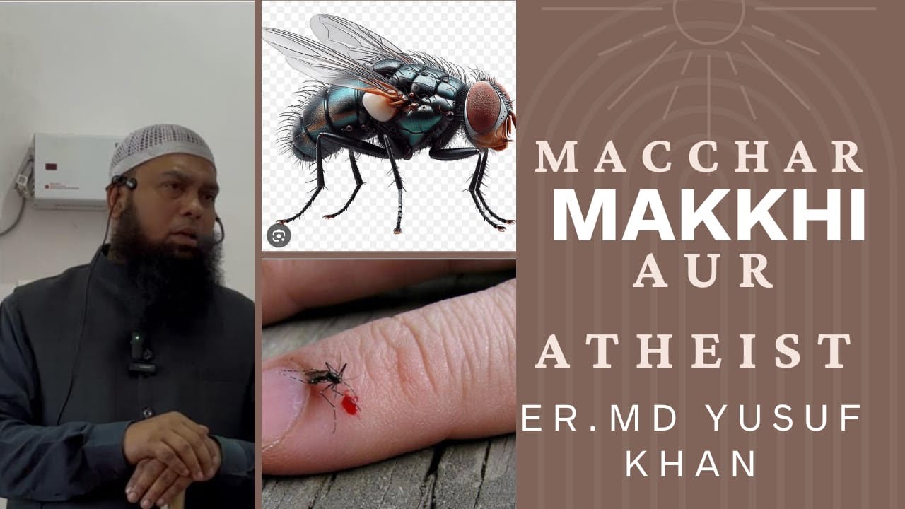 Macchar, Makkhi aur Atheist | Er Md Yusuf Khan