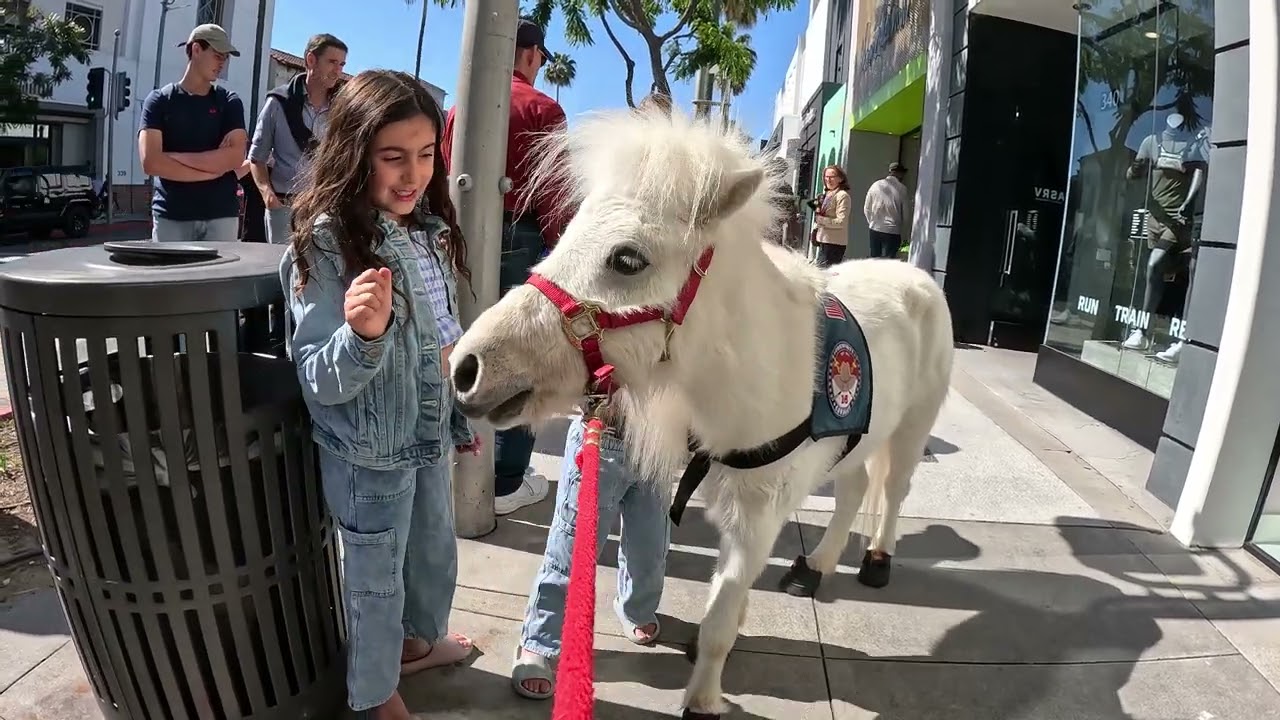 LT. Rowdy & Cash 2.0 Visiting Rodeo Dr Representing Valley Community Cavalry Rough Riders 2023 (8)